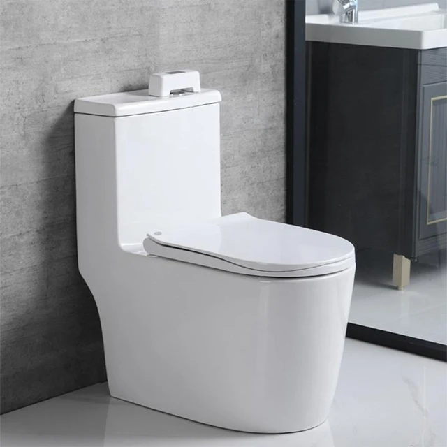 Flushometer Toilet: An In-Depth Look
