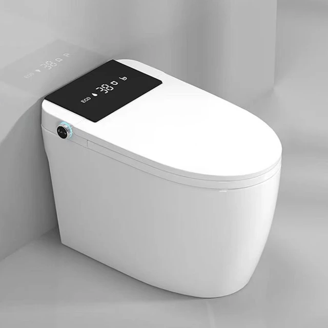 smart toilet seat