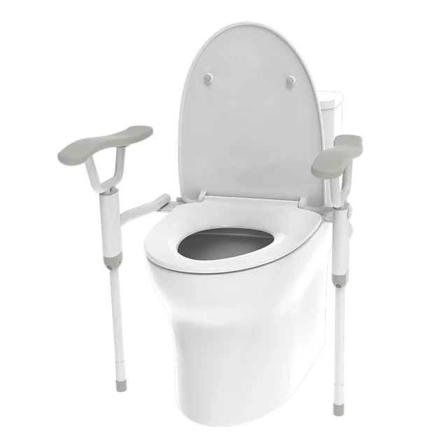 high toilet for seniors