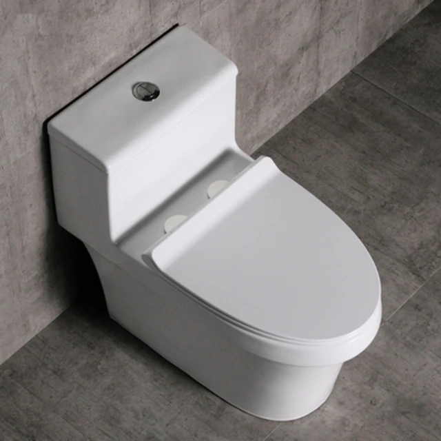 The Quiet Flush Toilet